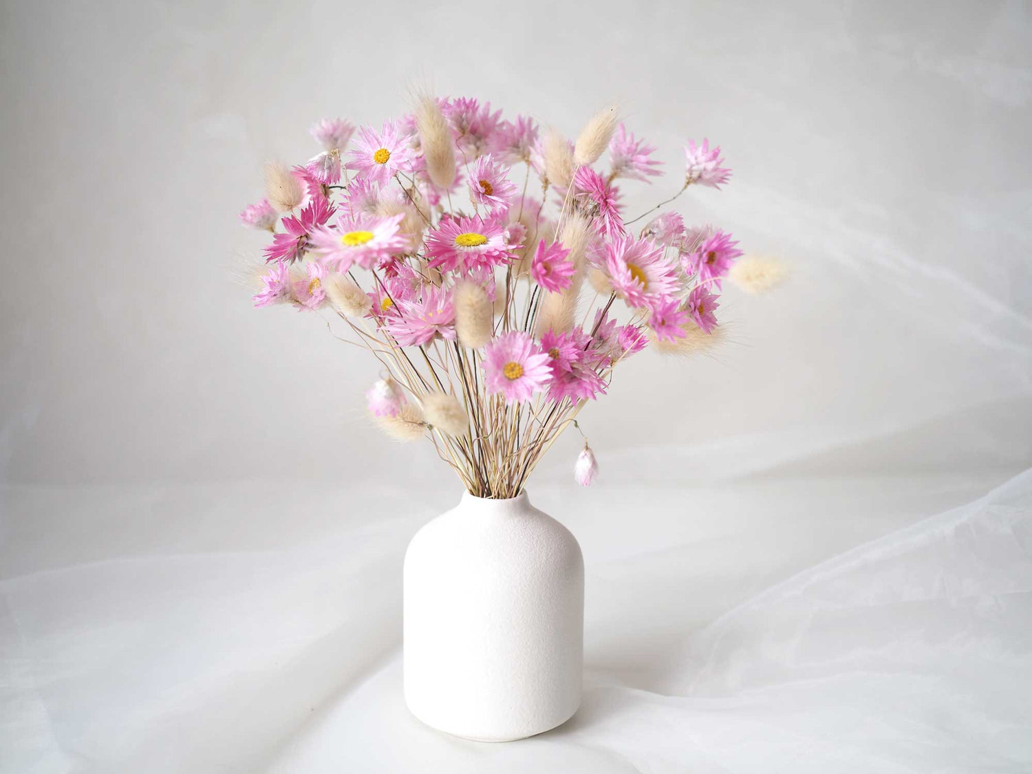 MIA – dried everlasting paper daisies in a white ceramic vase