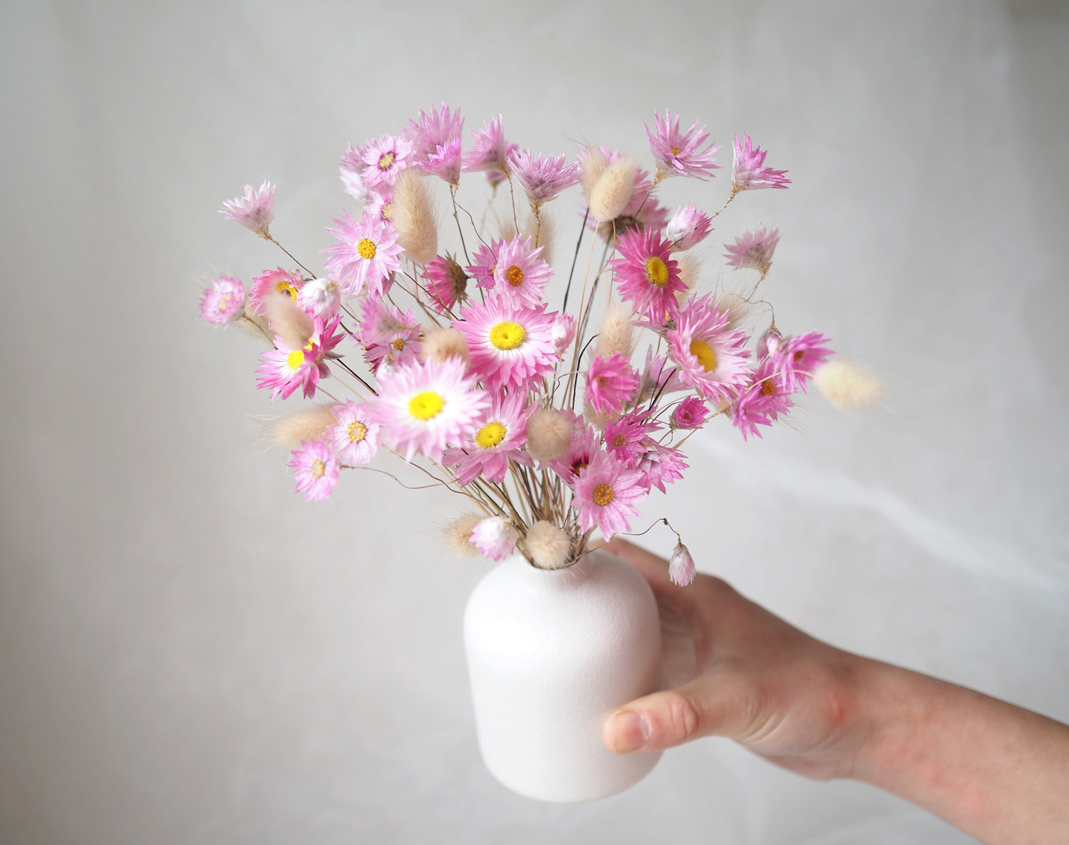 MIA – dried everlasting paper daisies in a white ceramic vase
