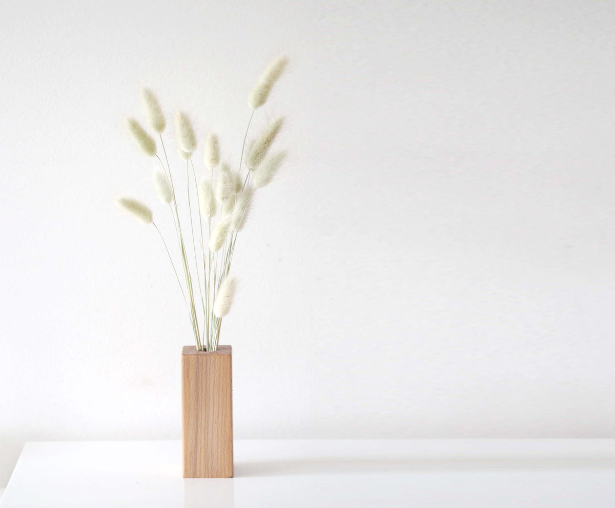 BUNNY - naturally dried bunny tail grass 2