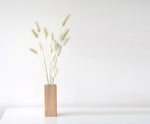 BUNNY - naturally dried bunny tail grass 2