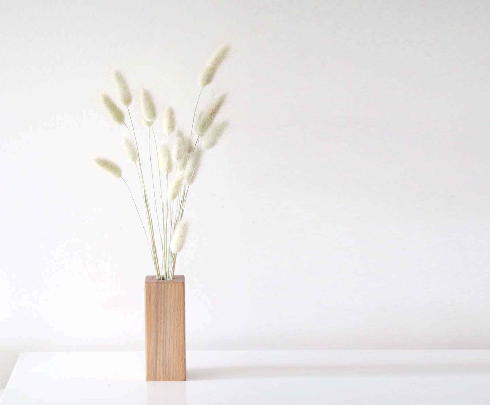 BUNNY - naturally dried bunny tail grass 2