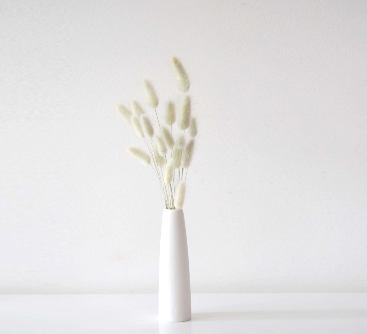 BUNNY - naturally dried bunny tail grass 3