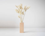 BUNNY - naturally dried bunny tail grass in a wooden vase