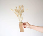 BUNNY - naturally dried bunny tail grass in a wooden vase2