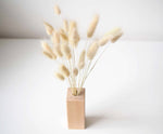 BUNNY - naturally dried bunny tail grass in a wooden vase 3