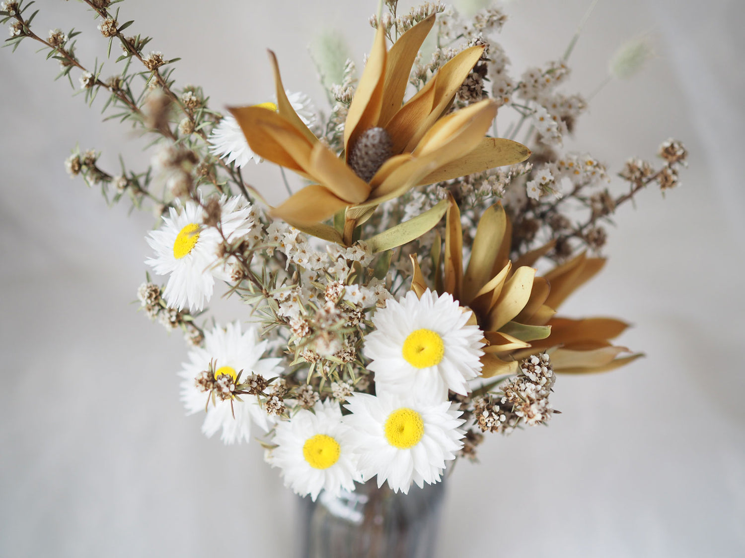 LULU - dried yellow strawflowers in a yellow vase