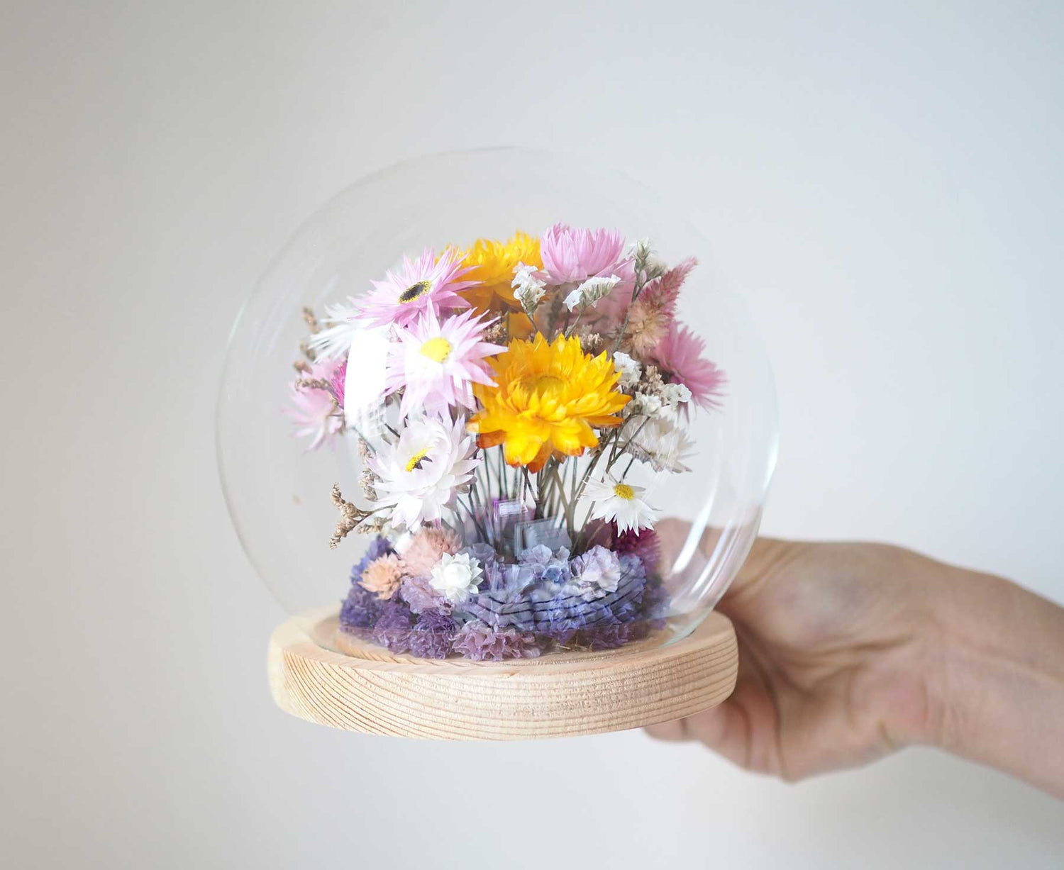 CALLA - dried flower cloche in pink, yellow and white