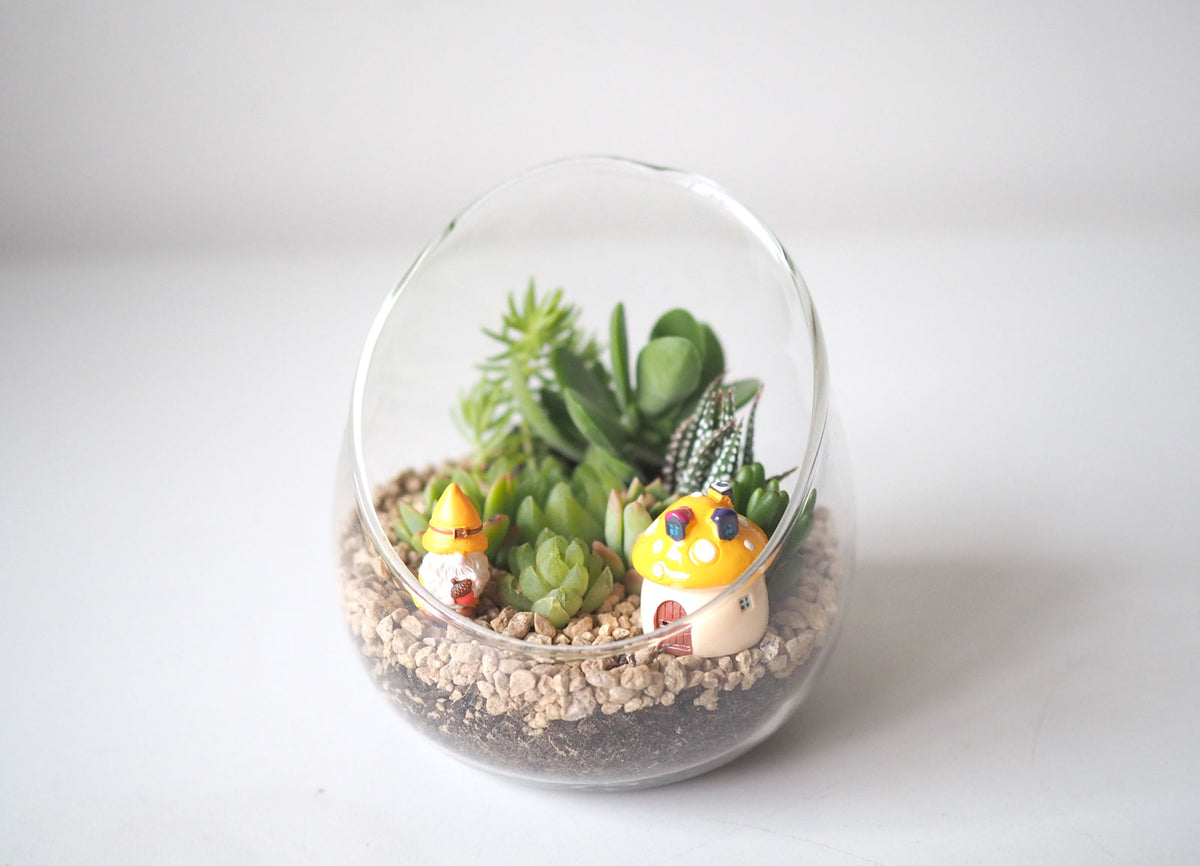 Succulent Terrarium DIY Kit - Gnome Sweet Gnome