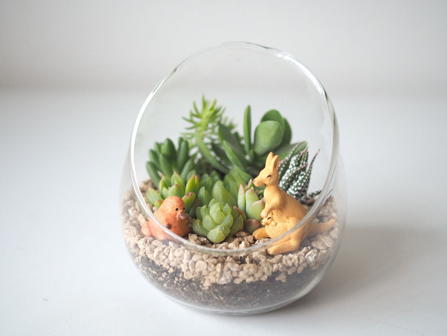 Glass terrarium with succulents and small animal figurines on a white background