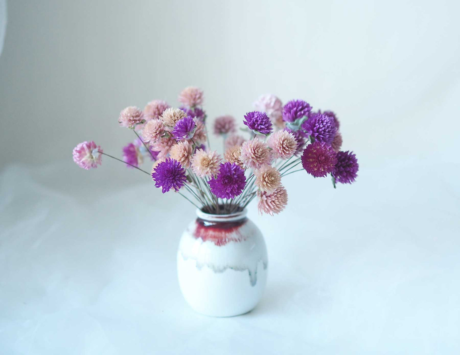 POM POM - dried flowers in a petite ceramic vase