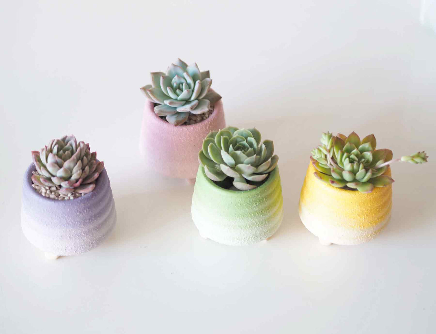 Succulent Plant Pot Set (4 Pots)