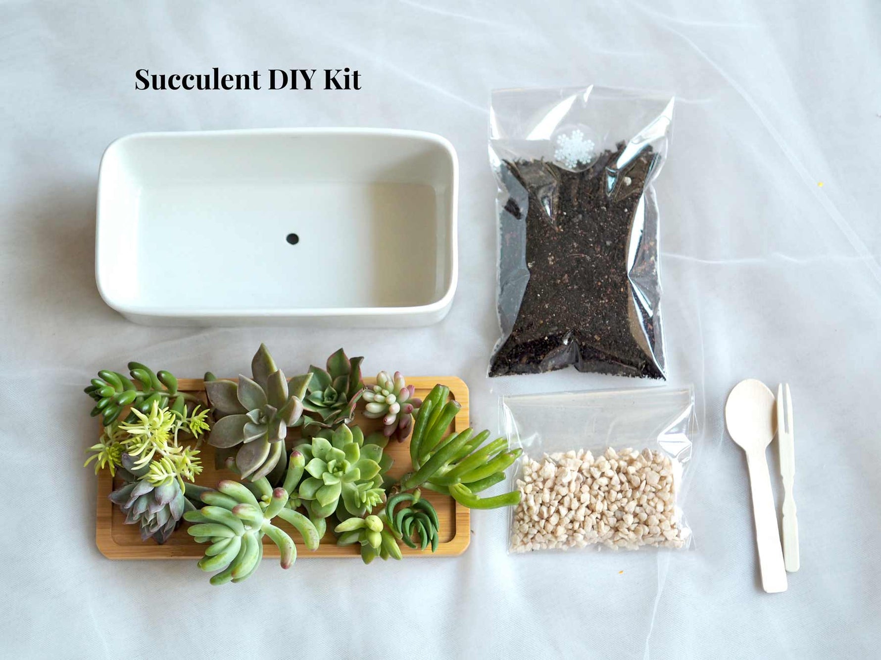 diy succulent planter kit Succulent Garden DIY Kit | Free Express AU Shipping