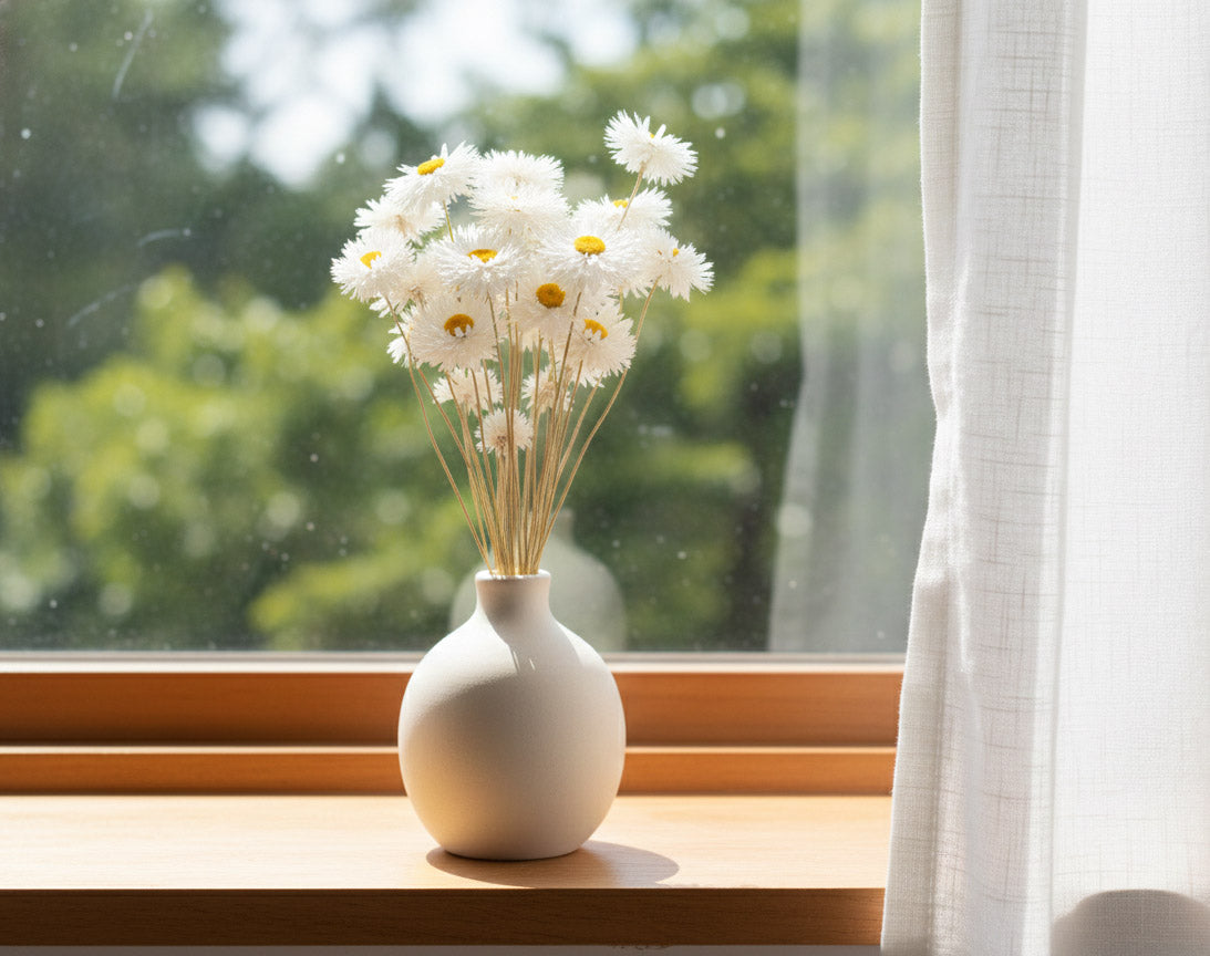 White vase with dried white paper daisies flowers on a window sill