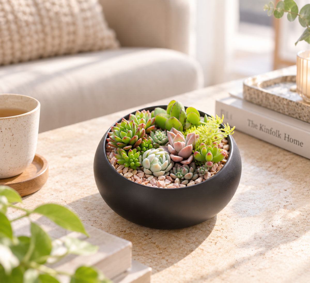 Zen Garden Succulent DIY Kit in Black Ceramic Pot