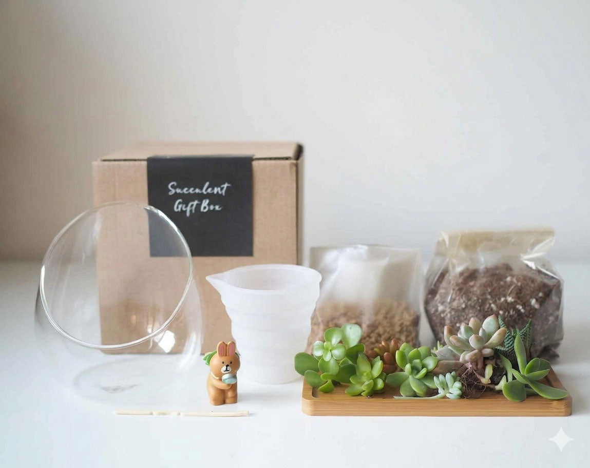 Succulent Terrarium DIY Kit - The Botani Bunny