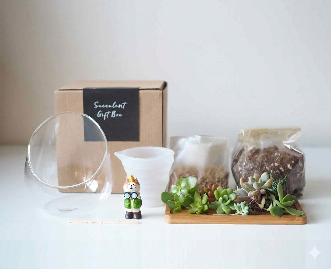 Succulent Terrarium DIY Kit -The Meowplorer