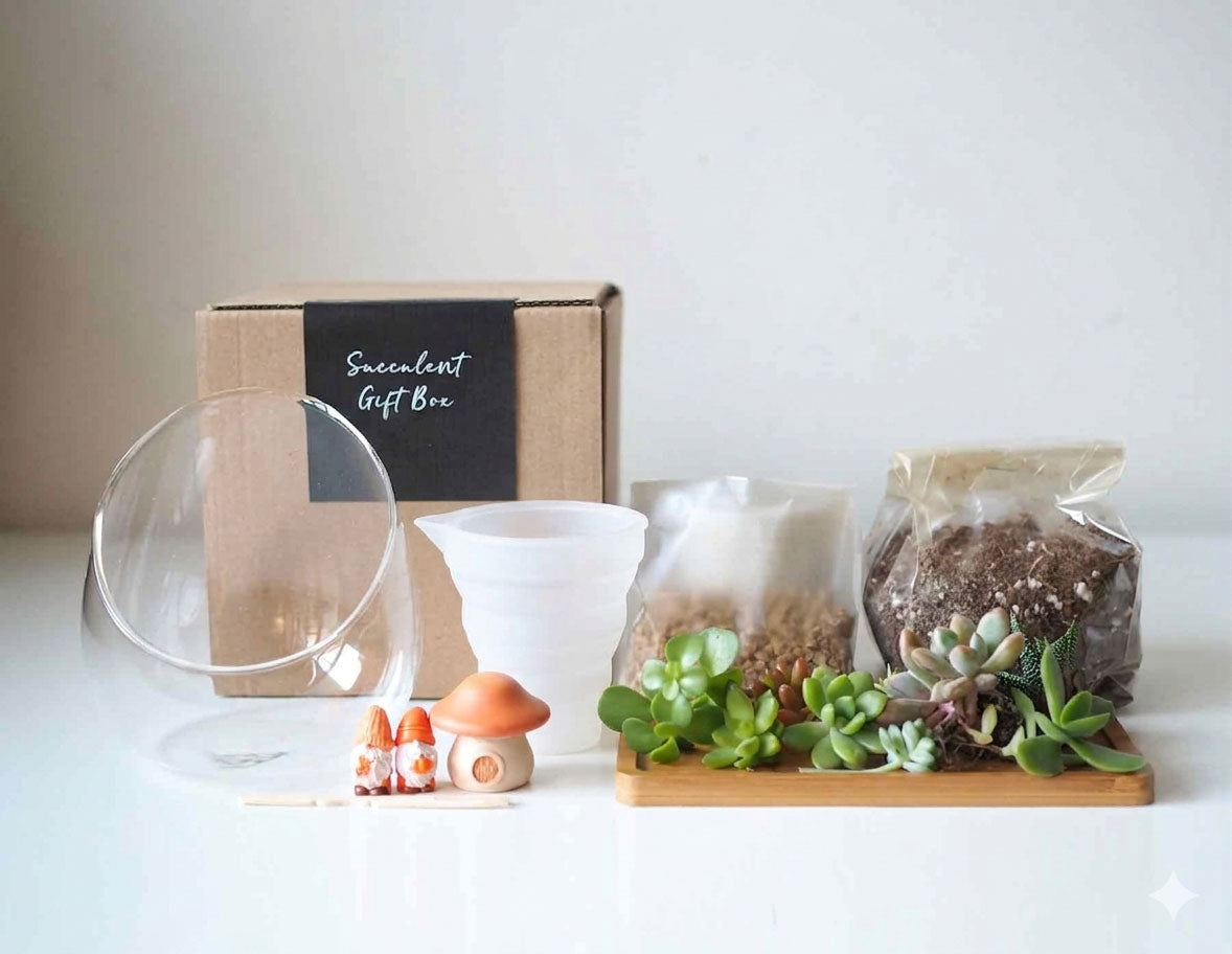 Succulent Terrarium DIY Kit - Gnome Sweet Gnome