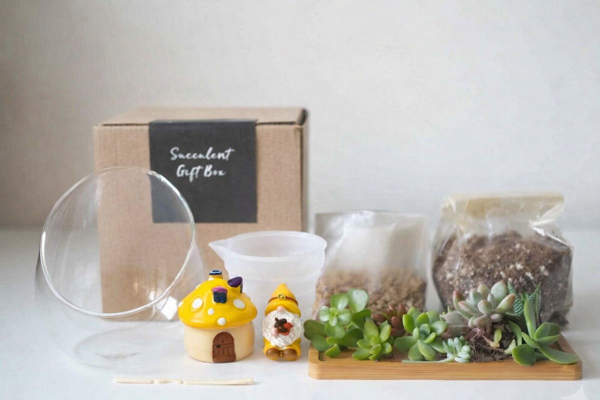 Succulent Terrarium DIY Kit - Gnome Sweet Gnome
