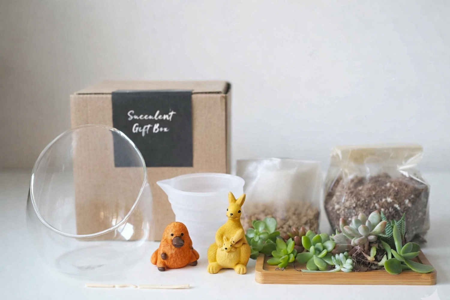 Succulent Terrarium DIY Kit - Bushland Buddies