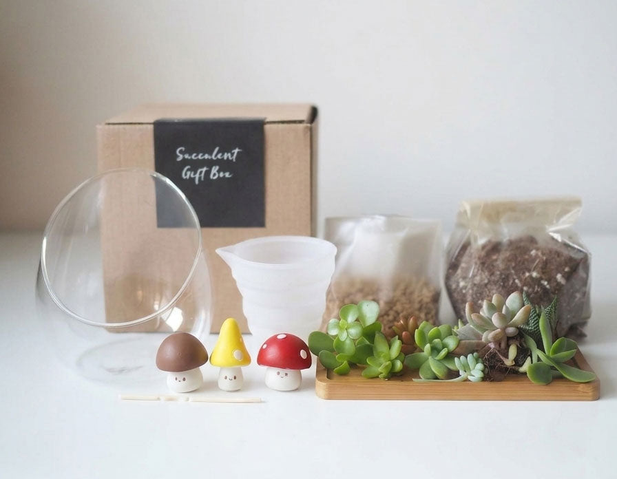 Succulent Terrarium DIY Kit - Mushroom Magic