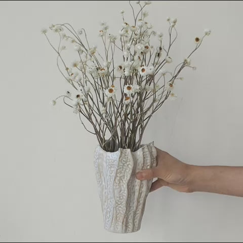 FREYA  – winged everlasting daisies in a ceramic vase video