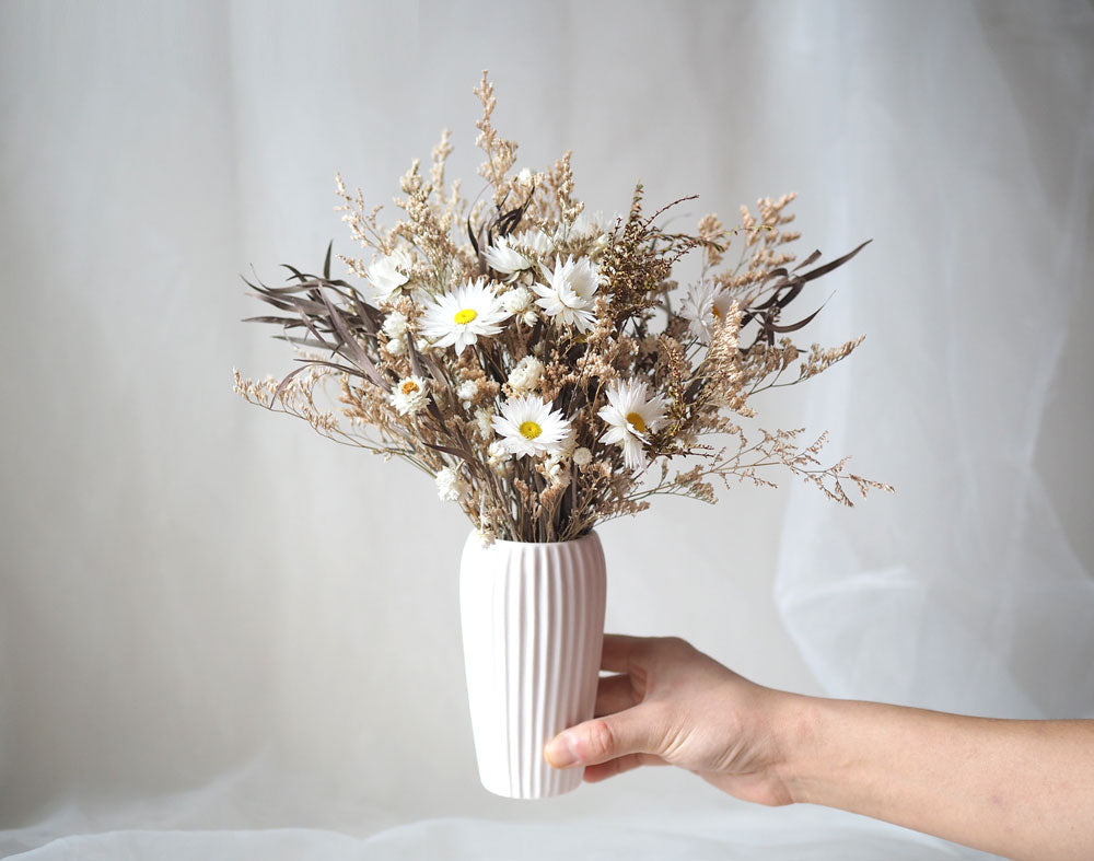 AMELIA – dried everlasting paper daisies in a white ceramic vase